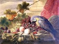 Still life of fruit and a parrot, 1855 - Thomas C. Ward