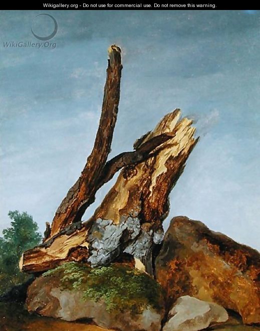 Study of Rocks and Branches, c.1795 - George Augustus Wallis