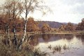 Late Autumn Solitude, 1916 - Edward Wilkins Waite