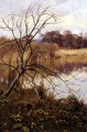 Marsh Marigolds, Paddington Pond, Abinger Hammer, 1892 - Edward Wilkins Waite