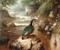 The Haunt of the Kingfisher - John Wainwright