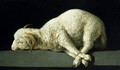 Agnus Dei, c.1635-40 - Francisco De Zurbaran