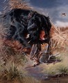 Gordon Setter among reeds - William Woodhouse