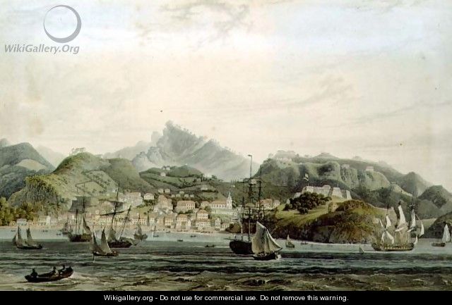 A View of the Town of St. George and Richmond Heights on the island of Grenada, engraved by William Daniell (1769-1837), c.1810 - (after) Wilson, Lieutenant-Colonel J.