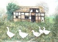 Geese Before a Timbered Cottage - Alexander Williams