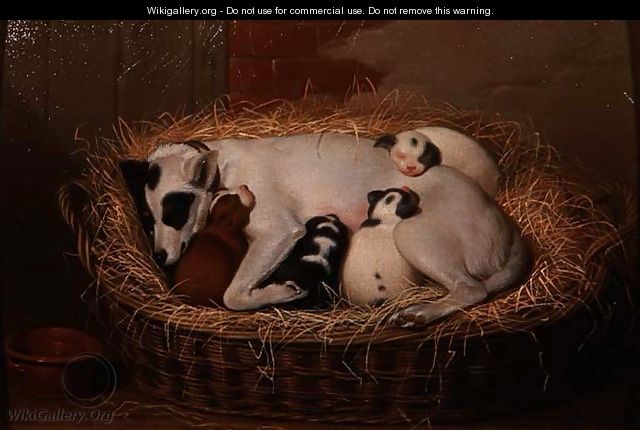 Bitch with her Puppies in a Wicker Basket - Samuel de Wilde