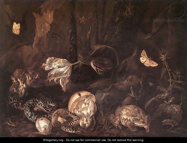 Still-Life with Insects and Amphibians 1662 - Otto Marseus Van Schrieck