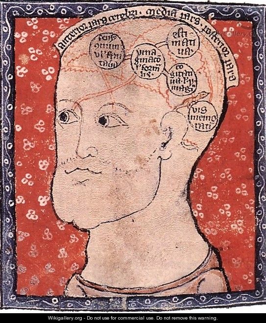 Diagram Of The Brain - English Miniaturist