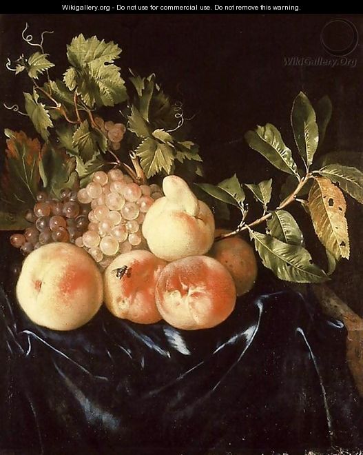 Still-Life of Peaches and Grapes 1705 - Willem Frederik van Royen