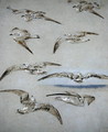 Seven Seagulls - William Clarkson Stanfield