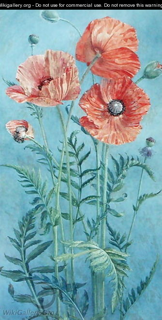 Poppies, 1916 - Frank Steeley