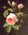 A Branch of Roses - Cornelis van Spaendonck