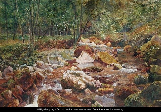 A Rocky Stream Overhung with Trees - John G. Sowerby