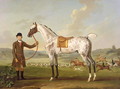 Scipio, Colonel Roches Spotted Hunter, c.1750 - Thomas Spencer