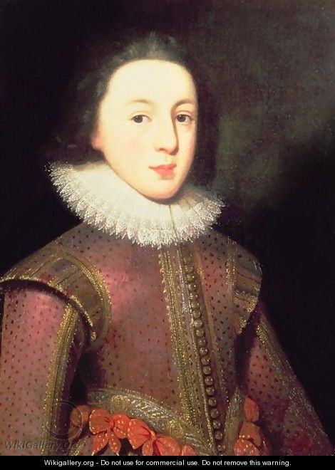 Portrait of Henry, Prince of Wales - Paulus Van Somer