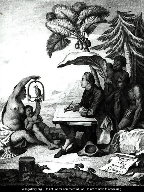 Pierre Sonnerat Drawing a Bird, from Voyage a la Nouvelle-Guinee, engraved by Marie Therese Martinet b.1731 1776 - (after) Sonnerat, Pierre