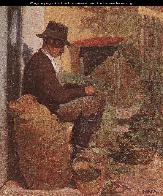 Peasant Shelling Peas c. 1910 - Janos Thorma