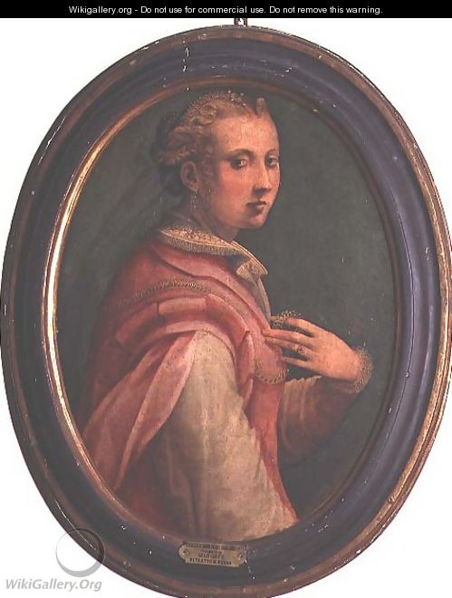 Portrait of a woman - Michele di Ridolfo del Ghirlandaio (see Tosini)