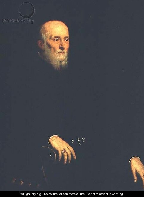 Portrait of Alvise Cornaro - Jacopo Tintoretto (Robusti)