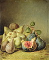 Fruit Still Life - Johann Heinrich Wilhelm Tischbein