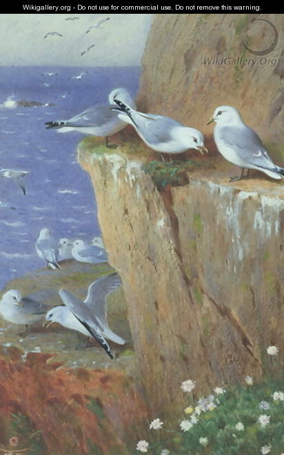 Seagulls - Archibald Thorburn