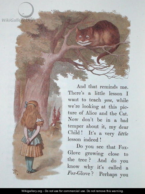 Alice and the Cheshire Cat, illustration from Alice in Wonderland, published in London, 1889 - Emily Gertrude Thomson