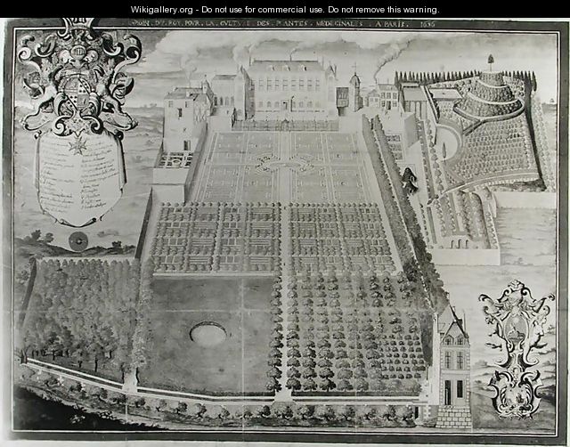 The Kings Medicinal Plant Garden, 1636 2 - Frederic Scalberge