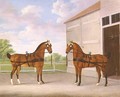 A Pair of Bay Carriage Horses in a Stable Yard, 1784 - John Nost Sartorius