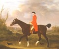 A Gentleman on his Hunter riding to Hounds, 1783 - Francis Sartorius