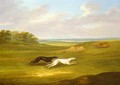 Running, a Coursing Scene, 1816 - John Nost Sartorius