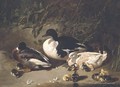 Ducks and Ducklings by a Pond - John Frederick Herring Snr