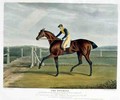 'The Duchess', the Winner of the Great St. Leger at Doncaster, 1816 - John Frederick Herring Snr