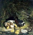 Ducks and Ducklings (2) - John Frederick Herring Snr