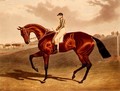 'Bay Middleton' winner of the Derby in 1836 - John Frederick Herring Snr
