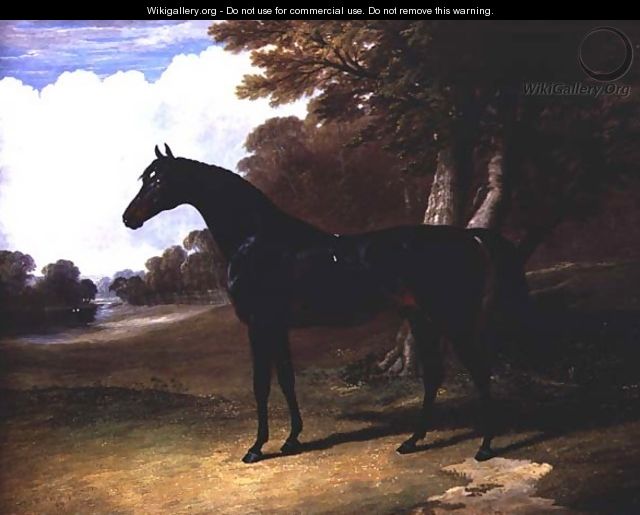Gaucus, a dark bay horse in a wooded landscape - John Frederick Herring Snr