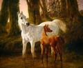 Mare and Foal startled while watering in a Stream, 1854 - John Frederick Herring Snr