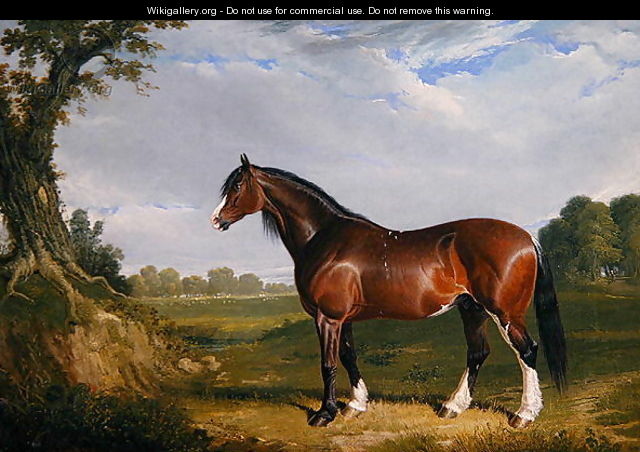 A Clydesdale Stallion, 1820 - John Frederick Herring Snr