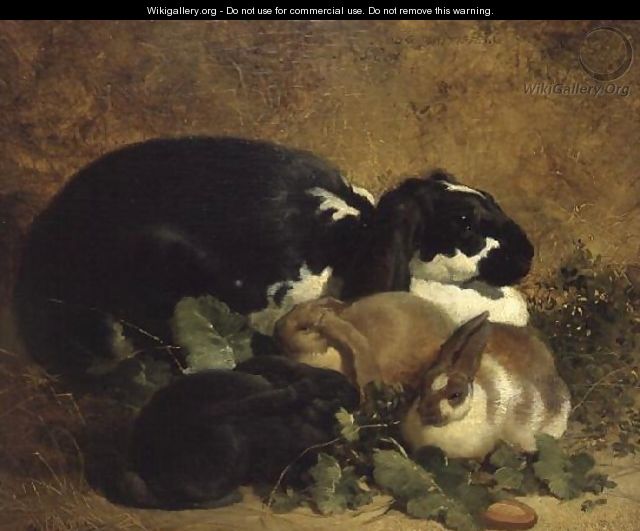 Rabbits, 1852 - John Frederick Herring Snr