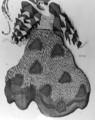 Costume design for the ballet 'La Legende de Joseph', 1914 (3) - Leon (Samoilovitch) Bakst