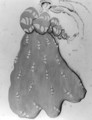 Costume design for the ballet 'La Legende de Joseph', 1914 (4) - Leon (Samoilovitch) Bakst