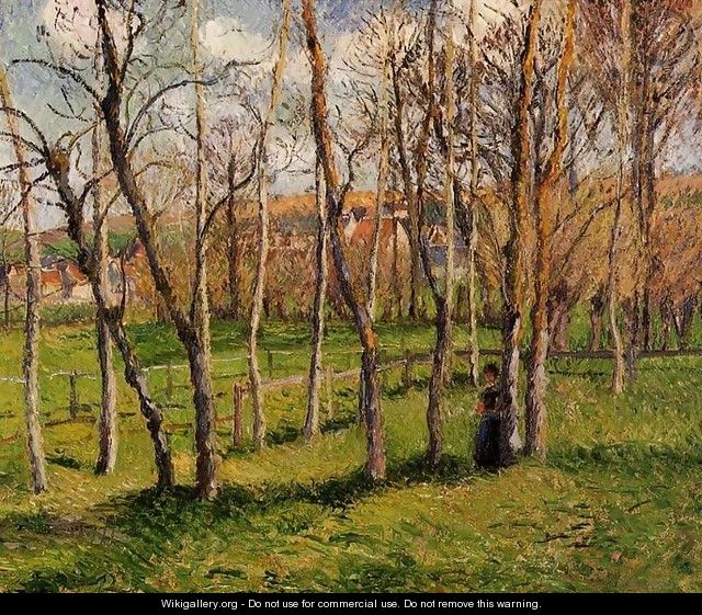 Meadow at Bazincourt, 1885 - Camille Pissarro