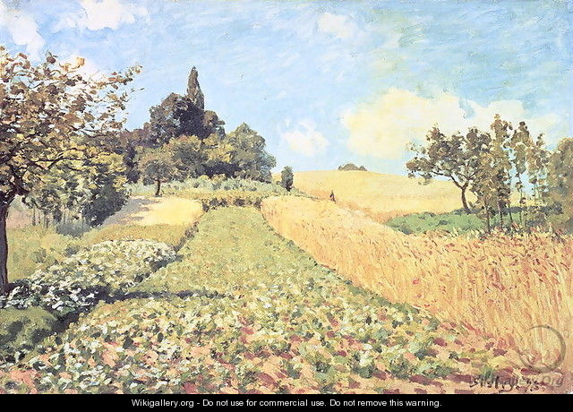 Wheat Field - Alfred Sisley