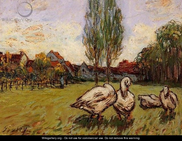 Geese - Alfred Sisley