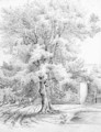 Sketch of an ash tree at Duffryn - Lucy Angeline Bacon