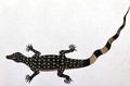 Guana, Bie awa Tana, from 'Drawings of Animals, Insects and Reptiles from Malacca', c.1805-18 - Anonymous Artist