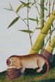 Bamboo Rat, Decan, from 
