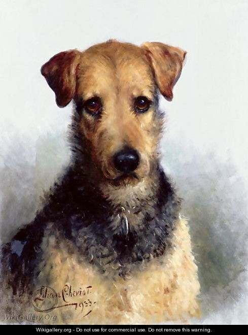 Wire Fox Terrier, 1933 - Lilian Cheviot