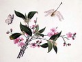 Cherry Blossom, Dragonfly and Butterfly - Anonymous Artist