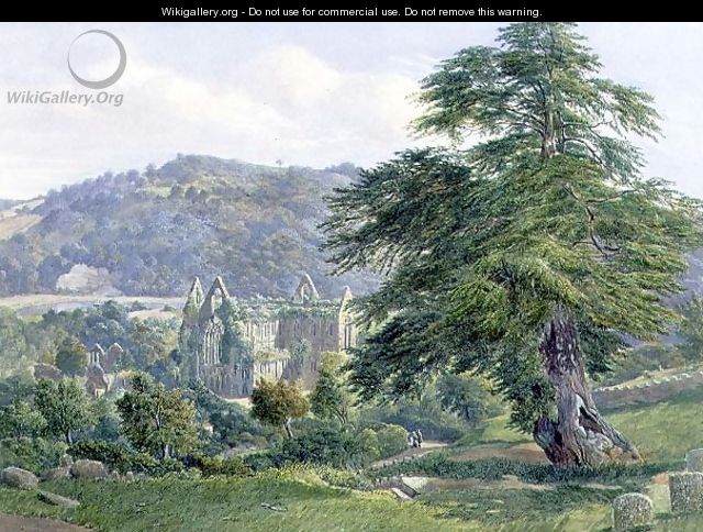 Tintern Abbey with the Wye Beyond - John Chase