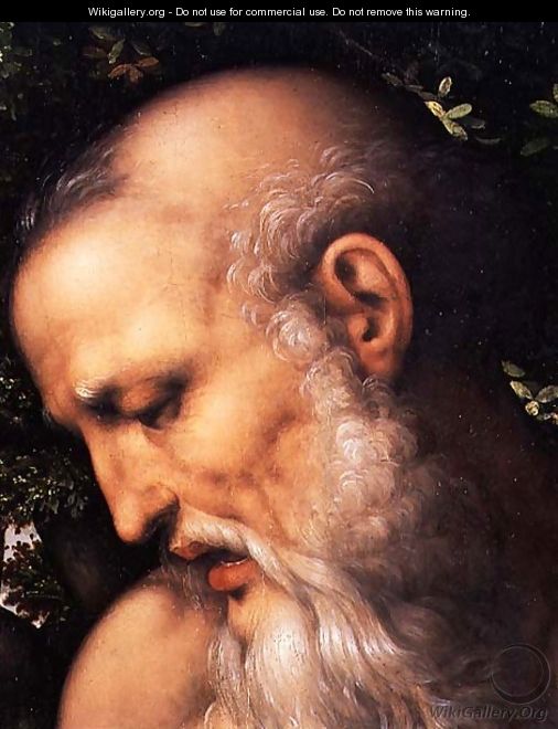 St. Jerome (detail of the saint